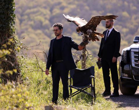 Explozie la ferma lui Bozo Subteran